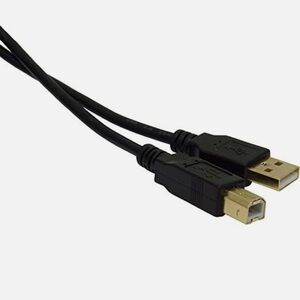 10 Ft Black & Gold USB Cable
